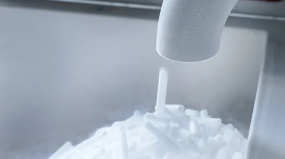 Image-dans-le-texte_0