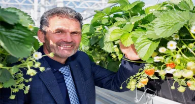 Dutch-Berries_banner